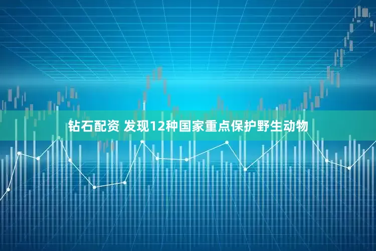 钻石配资 发现12种国家重点保护野生动物