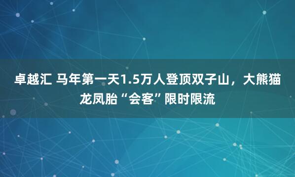 卓越汇 马年第一天1.5万人登顶双子山，大熊猫龙凤胎“会客”限时限流